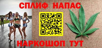 гашик Дубна