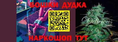 индика Жуковский