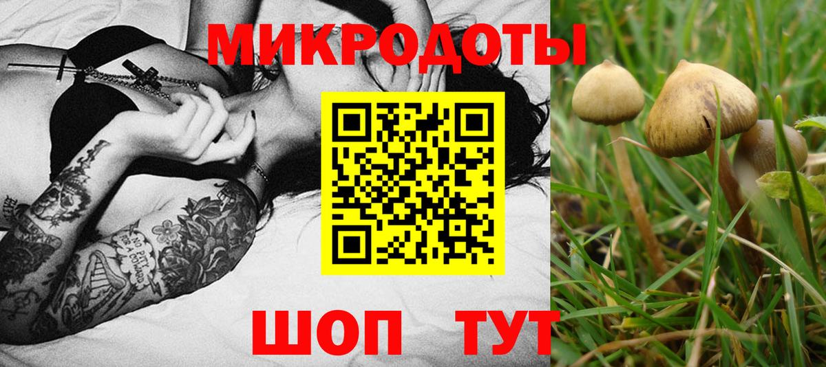 Галлюциногенные грибы прущие грибы Лениногорск