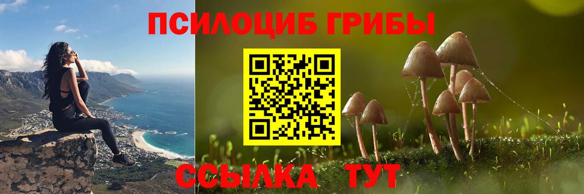 Галлюциногенные грибы Psilocybine cubensis  Галлюциногенные грибы Magic Shrooms  Вход с VPN  Лениногорск 